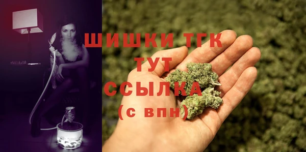 бошки Лабытнанги