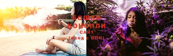 бошки Лабытнанги