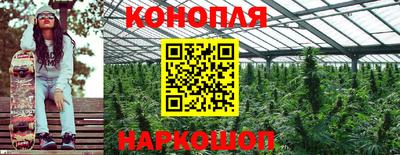 ПСИЛОЦИБИНОВЫЕ ГРИБЫ Апшеронск