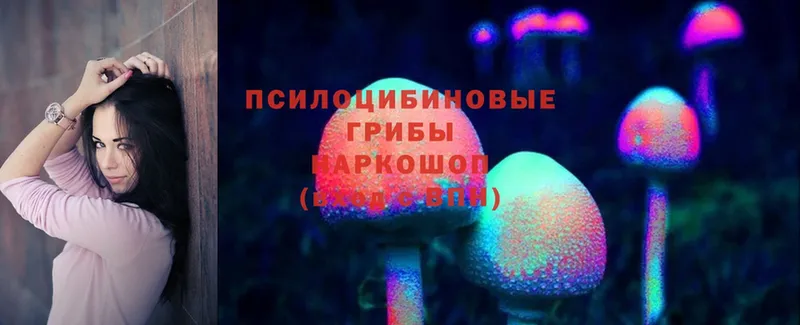 Галлюциногенные грибы Psilocybine cubensis  Ачинск 