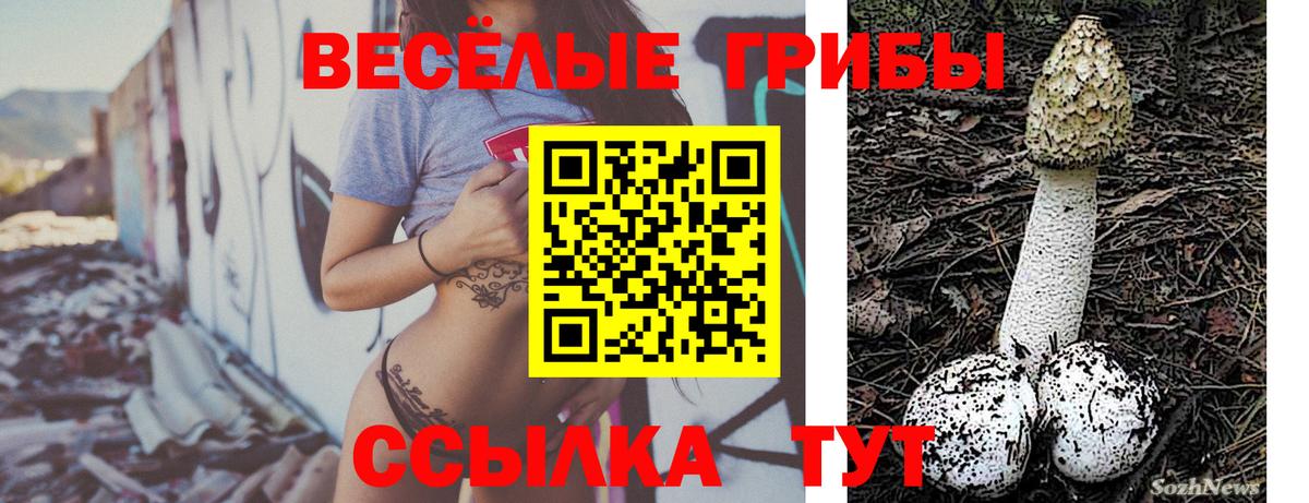 Ачинск  Галлюциногенные грибы Magic Shrooms  Вход с VPN 